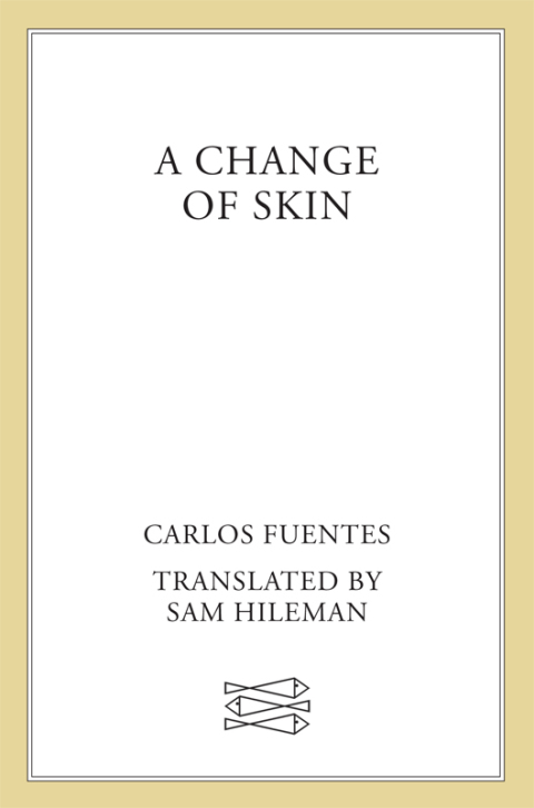 Cover image for book A Change of Skin