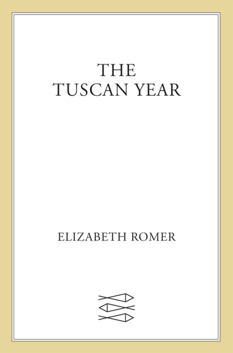 Cover image for book The Tuscan Year