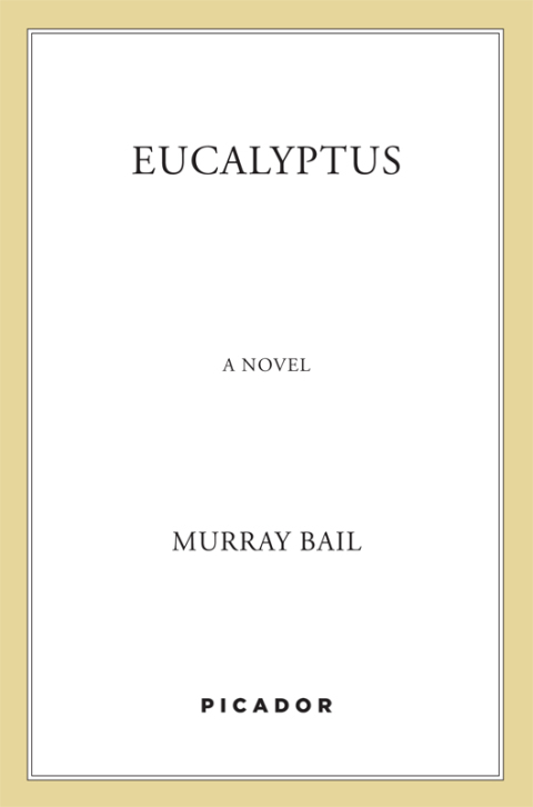 Cover image for book Eucalyptus