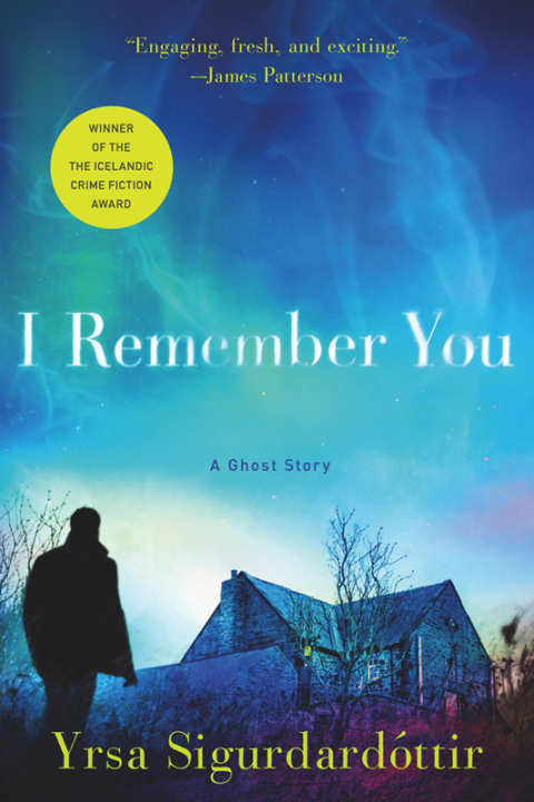 Cover image for book I Remember You