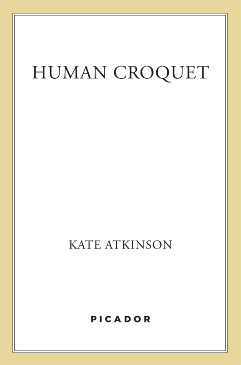Cover image for book Human Croquet