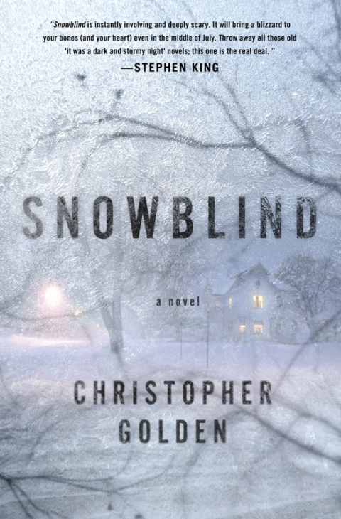 Cover image for book Snowblind