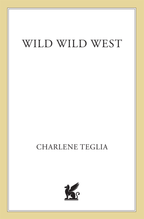 Cover image for book Wild Wild West