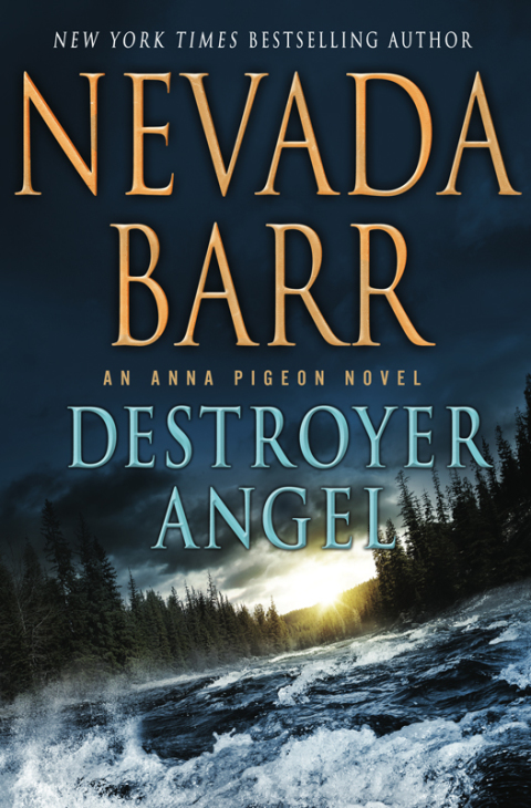Cover image for book Destroyer Angel