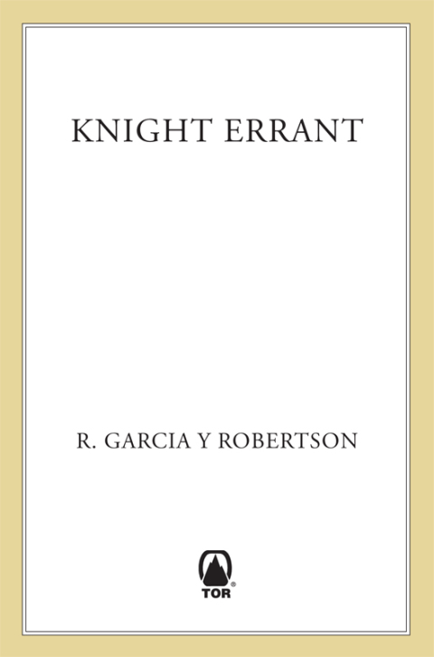 Cover image for book Knight Errant