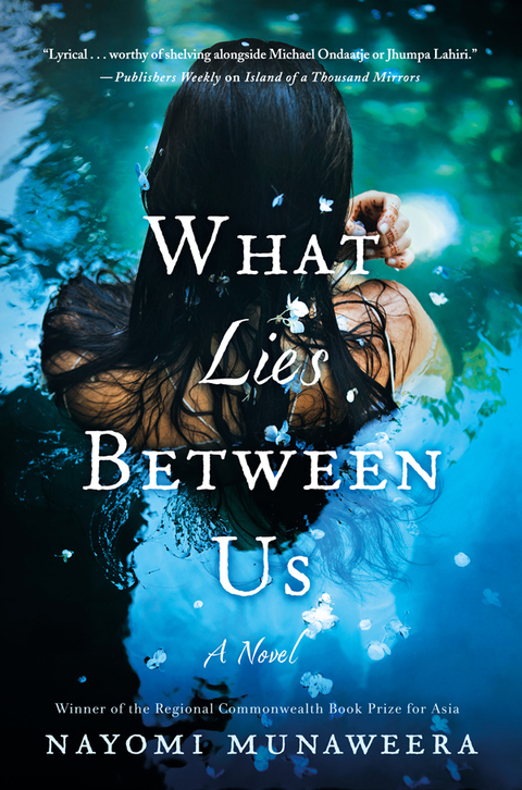 Cover image for book What Lies Between Us