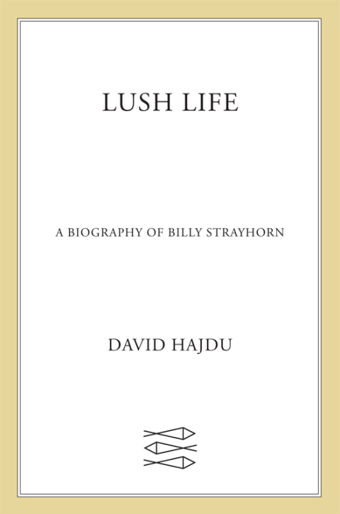 Cover image for book Lush Life