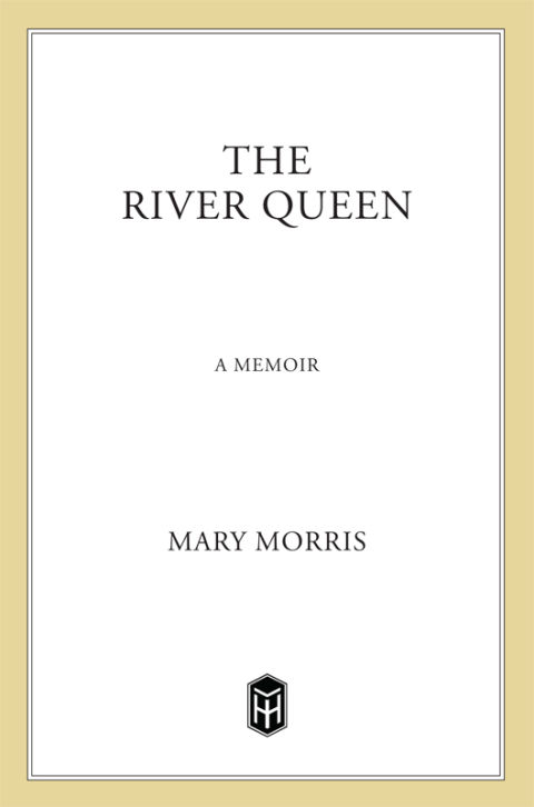 Cover image for book The River Queen