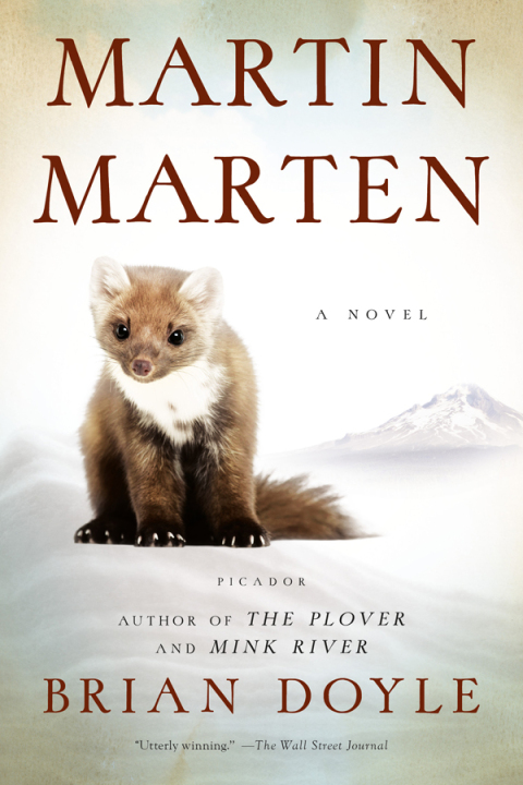 Cover image for book Martin Marten