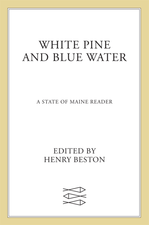 Cover image for book White Pine & Blue Water