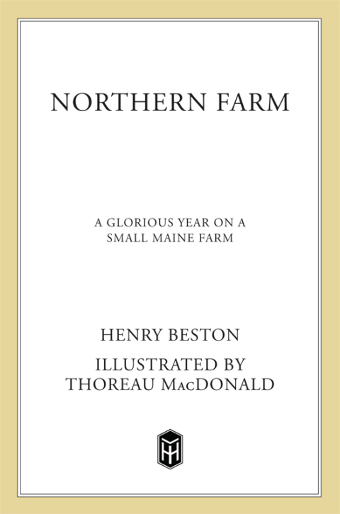 Cover image for book Northern Farm