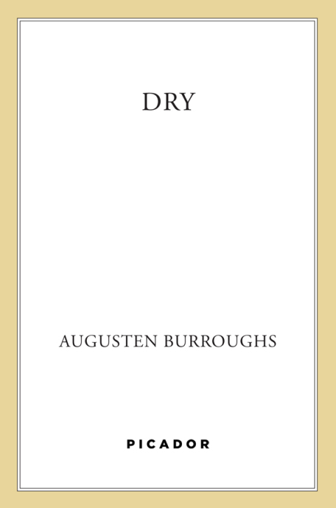 Cover image for book Dry