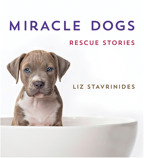 Cover image for book Miracle Dogs