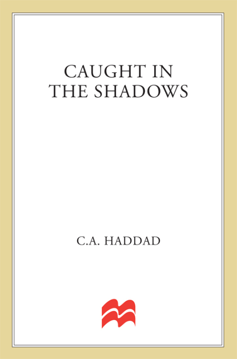 Cover image for book Caught In the Shadows