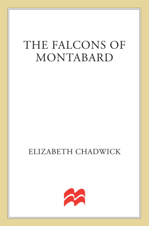 Cover image for book The Falcons of Montabard