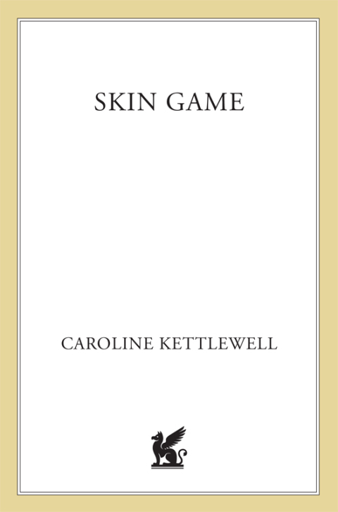 Cover image for book Skin Game