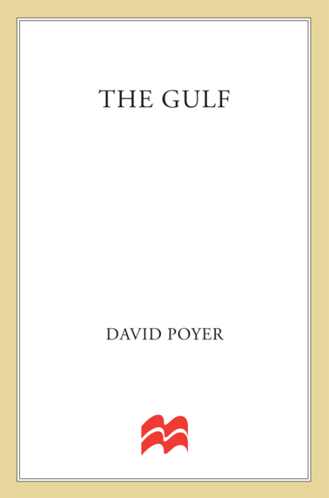 Cover image for book The Gulf