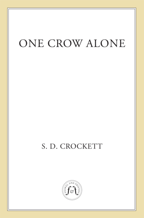 Cover image for book One Crow Alone