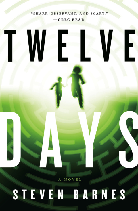 Cover image for book Twelve Days