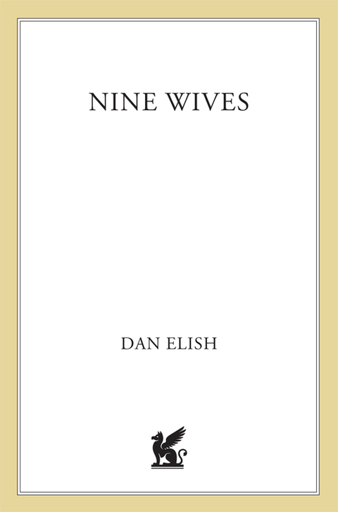 Cover image for book Nine Wives