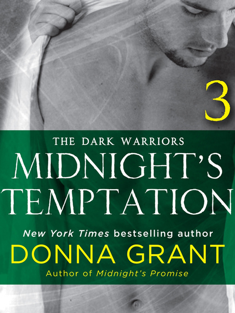Cover image for book Midnight's Temptation: Part 3