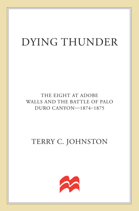 Cover image for book Dying Thunder