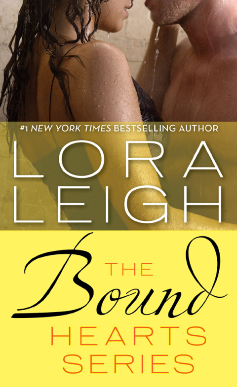 Cover image for book Bound Hearts Series Books 1-3