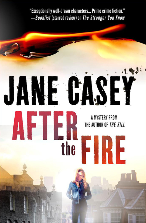Cover image for book After the Fire