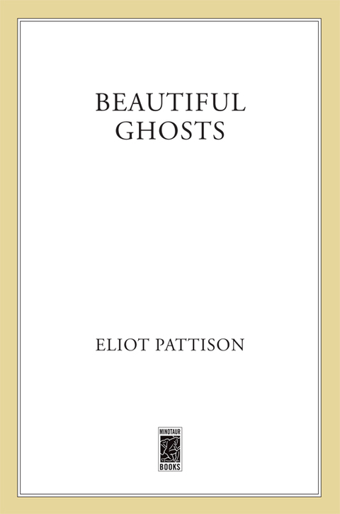 Cover image for book Beautiful Ghosts