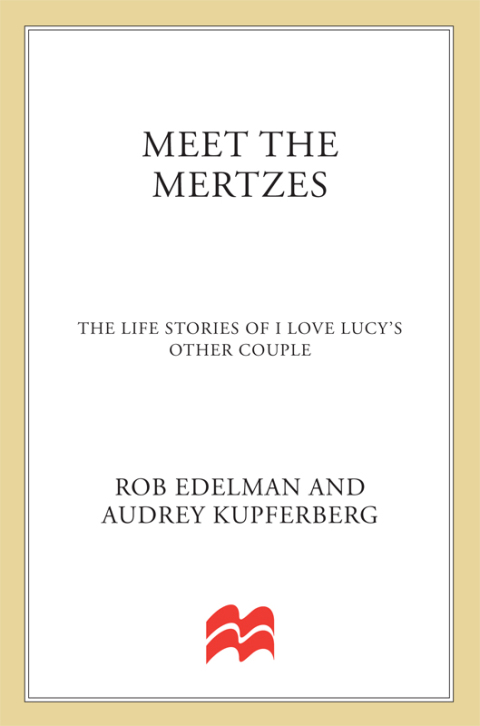 Cover image for book Meet the Mertzes