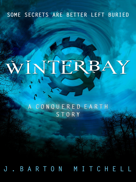 Cover image for book Winterbay