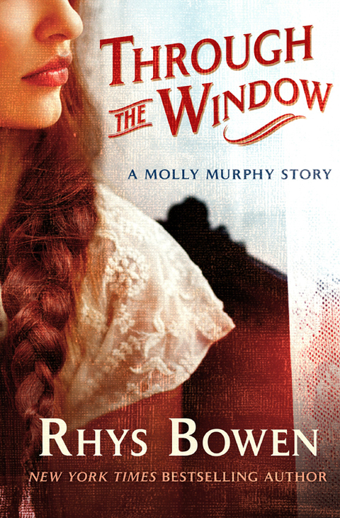 Cover image for book Through the Window