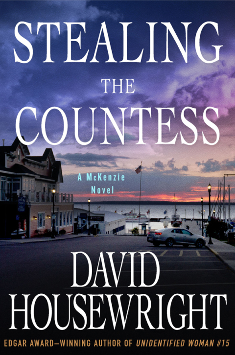 Cover image for book Stealing the Countess