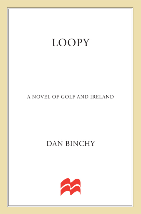 Cover image for book Loopy