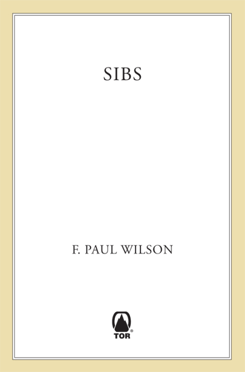 Cover image for book Sibs