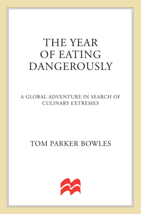 Cover image for book The Year of Eating Dangerously