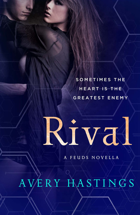 Cover image for book Rival