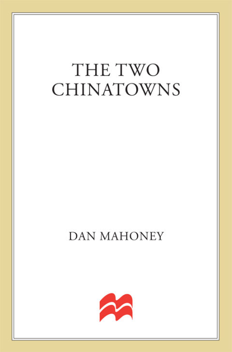 Cover image for book The Two Chinatowns