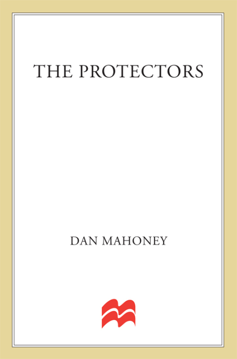 Cover image for book The Protectors