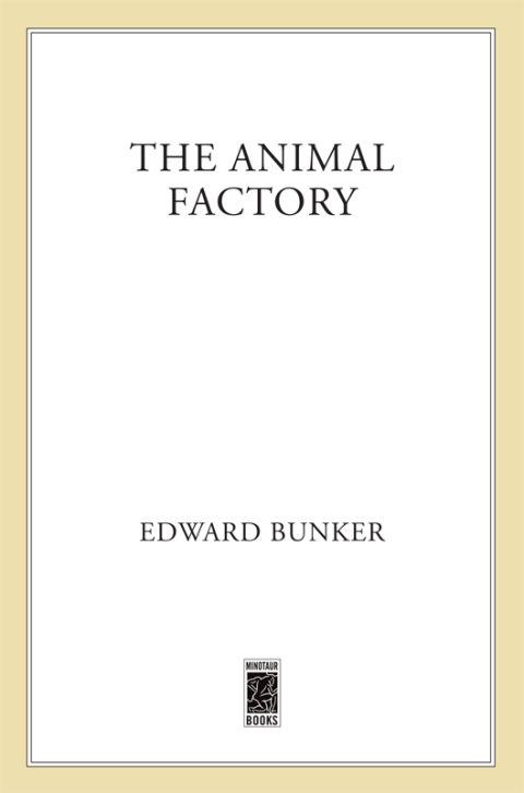 Cover image for book The Animal Factory