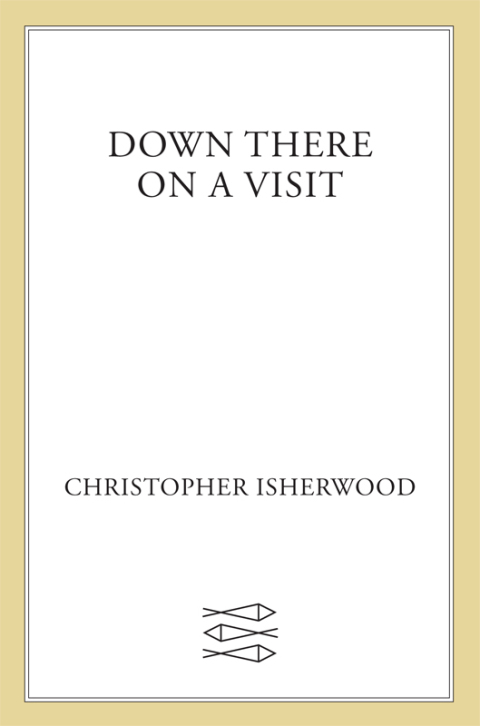 Cover image for book Down There on a Visit