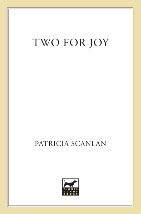 Cover image for book Two for Joy