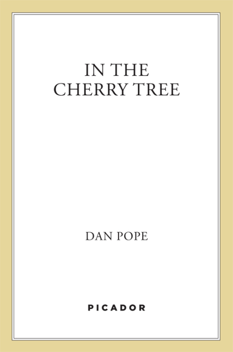 Cover image for book In the Cherry Tree