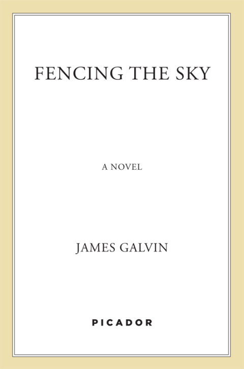 Cover image for book Fencing the Sky