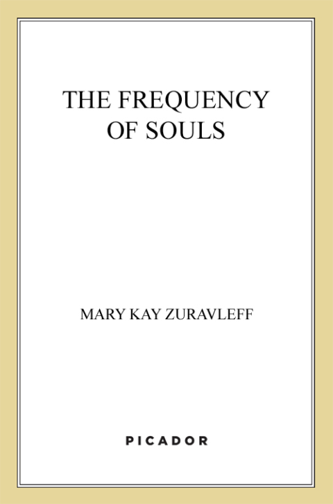 Cover image for book The Frequency of Souls
