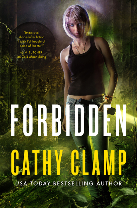 Cover image for book Forbidden