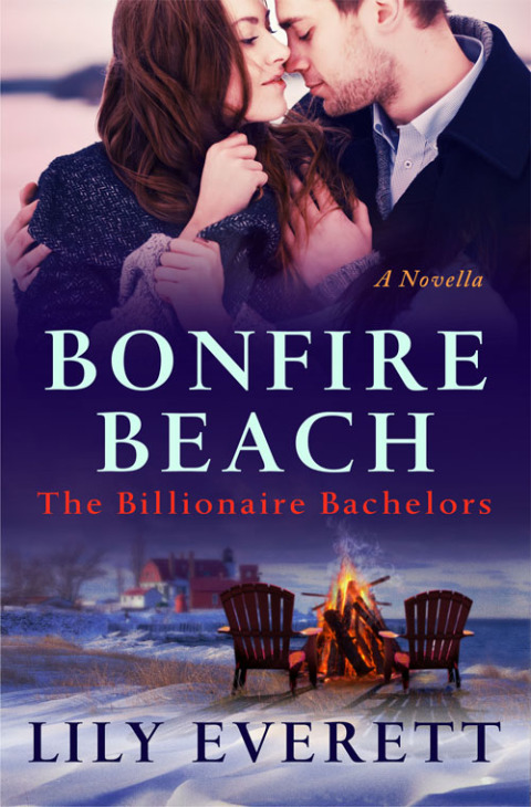 Cover image for book Bonfire Beach