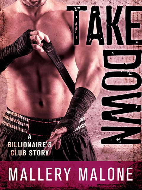 Cover image for book Take Down