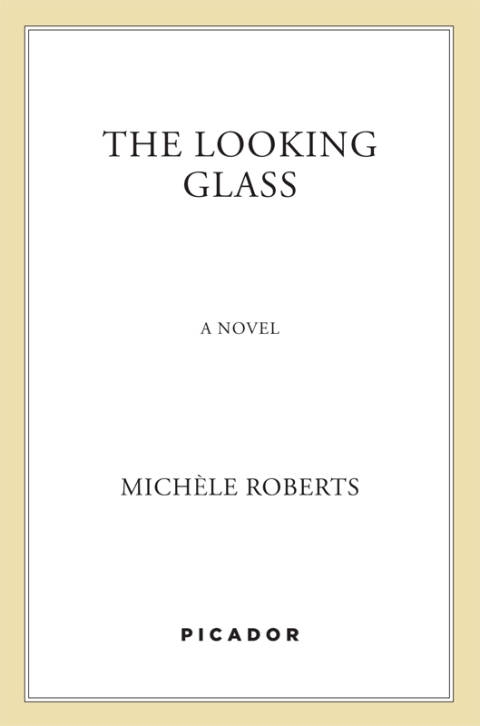 Cover image for book The Looking Glass