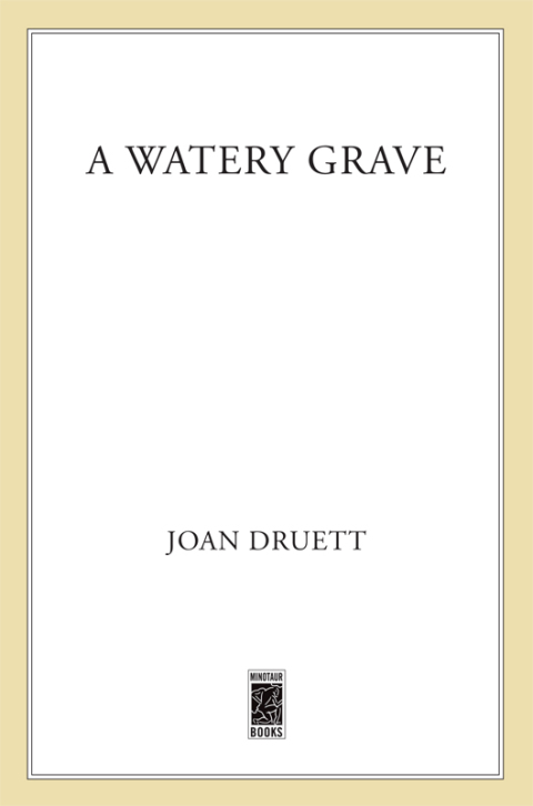 Cover image for book A Watery Grave